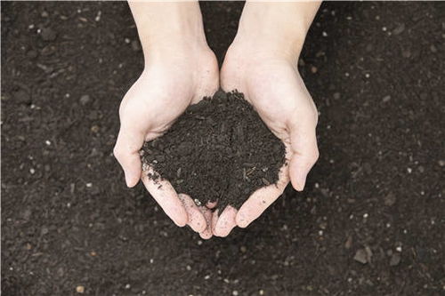 复合肥是什么肥料 怎么使用才是正确的方法