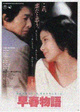 小姐 电影海报